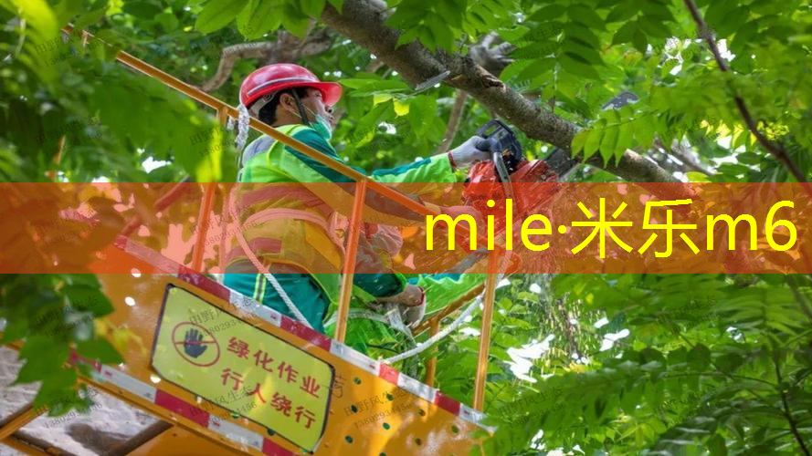 米乐：新网球拍怎么用教程教学