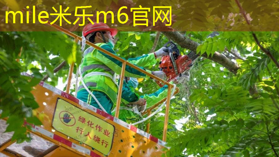 米乐：200米塑胶跑道多大