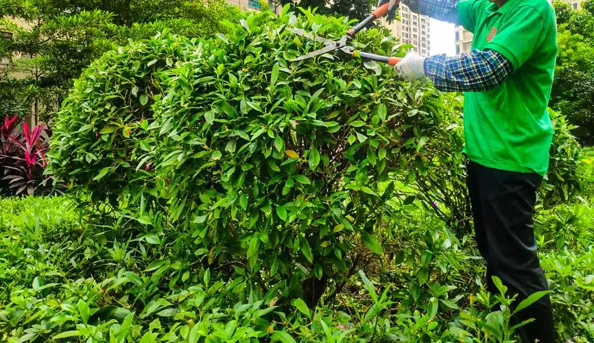 肯尼士网球拍谁用过
