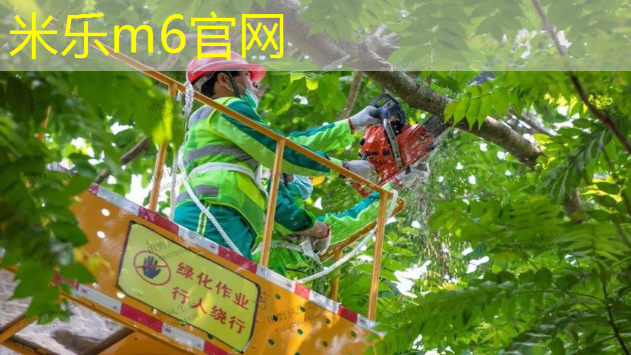 室内健身房器械锻炼