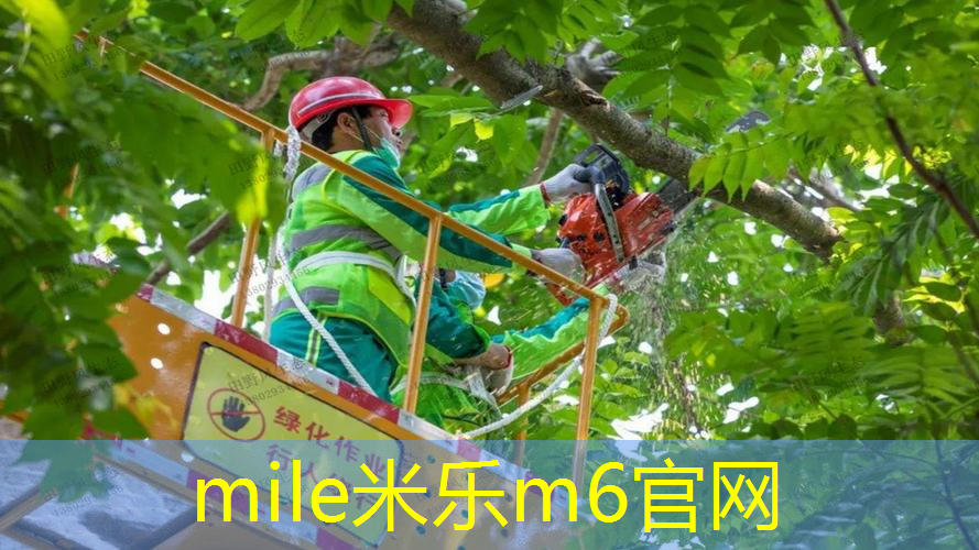 田径器材常用的材料