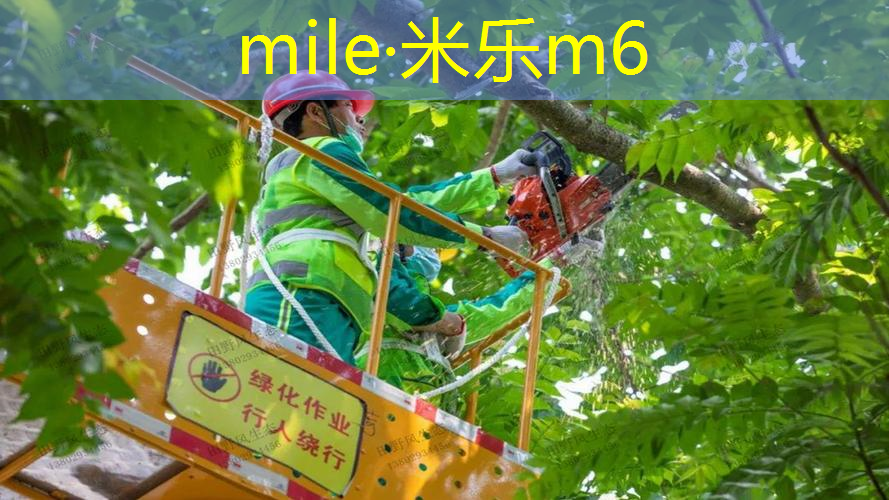 200米塑胶跑道多大