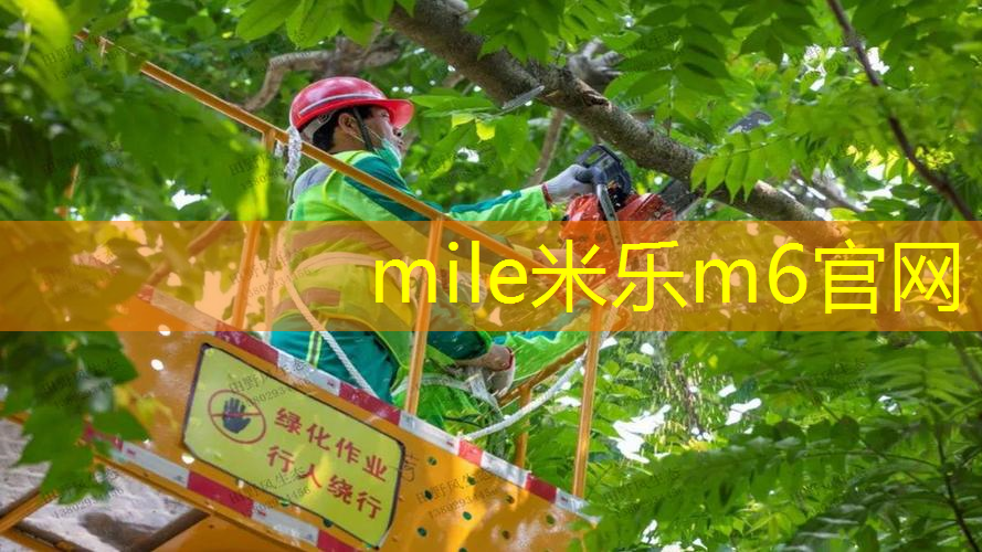 一套乒乓球台和发球机